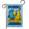 Patio Trasero 13 x 18.5 in. Down Syndrome Sock Garden Flag PA4072715